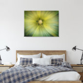 Toile Star Pollen Stretched Canvas Print (Insitu(Chambre))