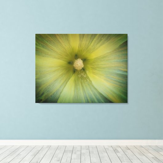 Toile Star Pollen Stretched Canvas Print (Insitu (Plancher de Bois))