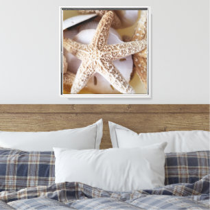 Toile Starfish and Sand Dollars Côtier encadré