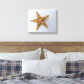 Toile Starfish In the Snow - Poster photo original (Insitu(Chambre))