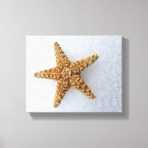 Toile Starfish In the Snow - Poster photo original