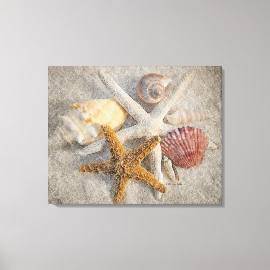 Toile Starfish/Shell/Sand Beach Still Life (Recto)