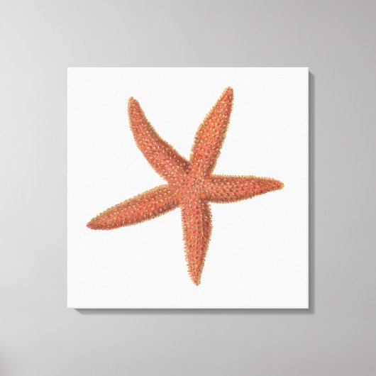 Toile Starfish - Sherman Denton Fish Lithograph (Recto)