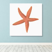 Toile Starfish - Sherman Denton Fish Lithograph (Insitu (Plancher de Bois))
