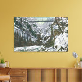 Toile State Park Gorge Suspension Bridge View in (Insitu(Salon))