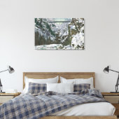 Toile State Park Gorge Suspension Bridge View in (Insitu(Chambre))