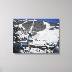 Toile Station de sports d'hiver de Catedral, Bariloche
