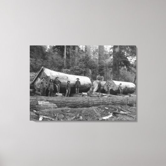 Toile Steam Logging dans les Cascades de Washington Stat (Recto)