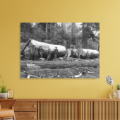 Toile Steam Logging dans les Cascades de Washington Stat (Insitu(Salon))