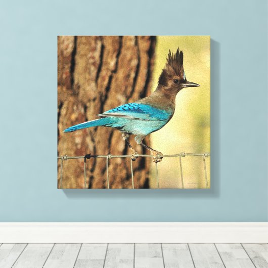 Toile Stellar Jay (Insitu (Plancher de Bois))