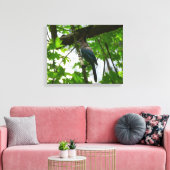 Toile Steller's Jay dans le parc national de Yosemite (Insitu(Salon))