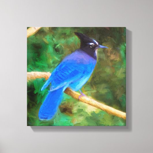 Toile Steller's Jay Painting - Art original pour oiseaux (Recto)