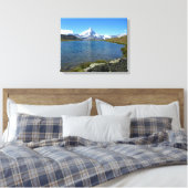Toile Stellisé, Alpes du Valais (Insitu(Chambre))