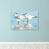 Toile Sternes royales sur la plage (Insitu (Plancher de Bois))