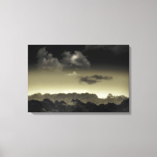 Toile Stocké dans le cloud (Recto)