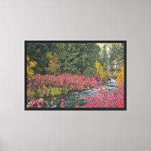 Stream Blooms Stretched Canvas Print