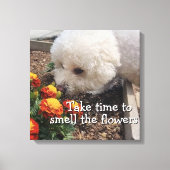 Toile Stretched Canvas Print (Recto)