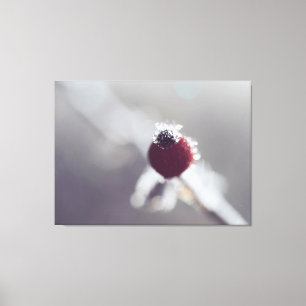 Toile Stretched Canvas Print - Winter Berry