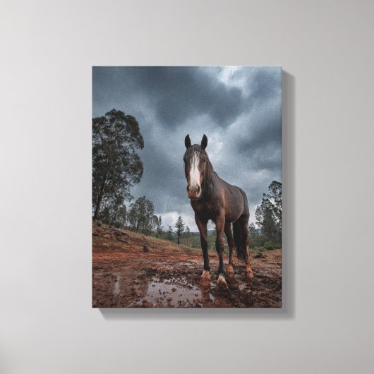 Toile Strong Horse Under Stormy Sky Art (Recto)