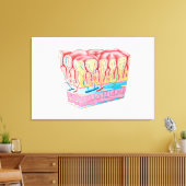 Toile Structure Et Couches Anatomiques Du Mur D'Estomac (Insitu(Salon))