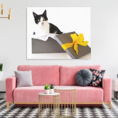 Toile Studio photo de chat noir et blanc dans la boîte c (Insitu(Salon))