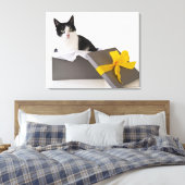 Toile Studio photo de chat noir et blanc dans la boîte c (Insitu(Chambre))