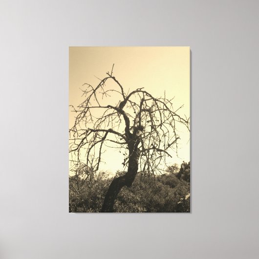 TOILE STYLE D'ART ET DE DESIGN DE CANVAS (Recto)