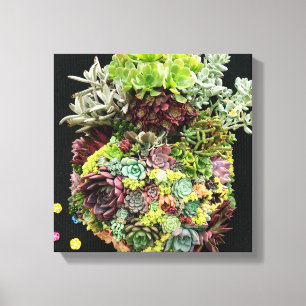 Toile Succulents décoratifs