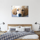 Toile Sucré, chiot doux (Insitu(Chambre))