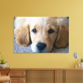 Toile Sucré, chiot doux (Insitu(Salon))