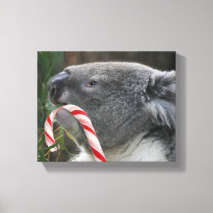 Toile Sucre de canne de Noël de Koala