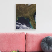 Toile Sud-Est des États-Unis (Insitu(Salon))