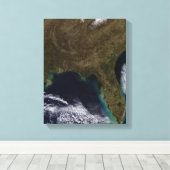 Toile Sud-Est des États-Unis (Insitu (Plancher de Bois))