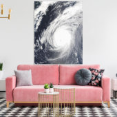 Toile Sudal du typhon sud du Japon 3 (Insitu(Salon))