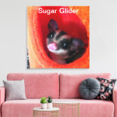 Toile Sugar Glider dans un lit orange suspendu (Insitu(Salon))