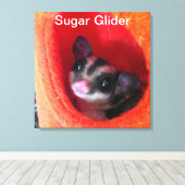 Toile Sugar Glider dans un lit orange suspendu (Insitu (Plancher de Bois))