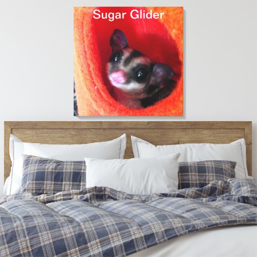 Toile Sugar Glider dans un lit orange suspendu (Insitu(Chambre))