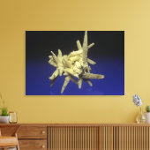 Toile Sulfure (S) sur Celestite, Pologne (Insitu(Salon))