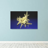 Toile Sulfure (S) sur Celestite, Pologne (Insitu (Plancher de Bois))