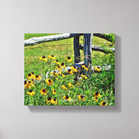 Summer Blue Ridge Parkway USA Fleur sauvage Photo