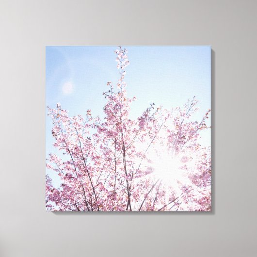 Toile sun rays pass through pink flowers of a wow tree (Recto)
