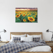 Toile Sunflower Field à Longmont, Colorado (Insitu(Chambre))