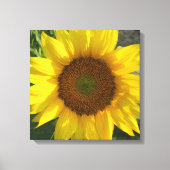 Toile Sunflower Stretched Canvas Print (Recto)
