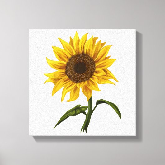 Toile Sunflower Sunshine Floral Aquarelle Fleur (Recto)