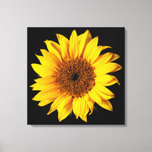 Toile Sunflower Yellow on Black