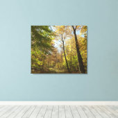 Toile Sunlit Fall Forest II Automne Paysage Photographie (Insitu (Plancher de Bois))