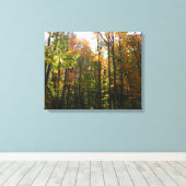 Toile Sunlit Fall Forest Paysage d'automne (Insitu (Plancher de Bois))