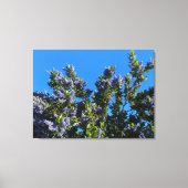 Toile Sunnyvale Blues (Recto)