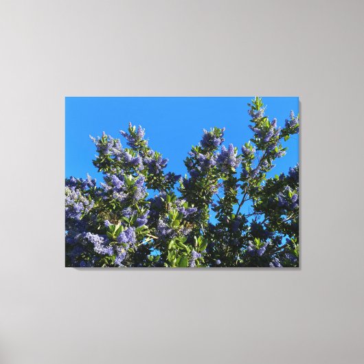 Toile Sunnyvale Blues (Recto)