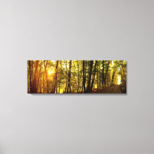 Toile Sunrise Forestière